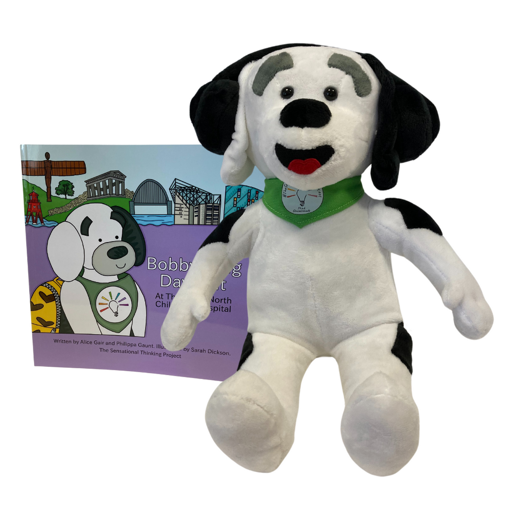 Bobby the sensory soft toy and book.