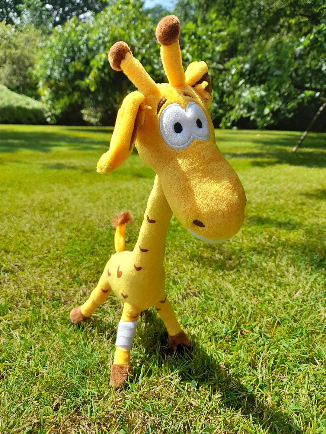 Fudge Soft Toy – Newcastle Hospitals Charity